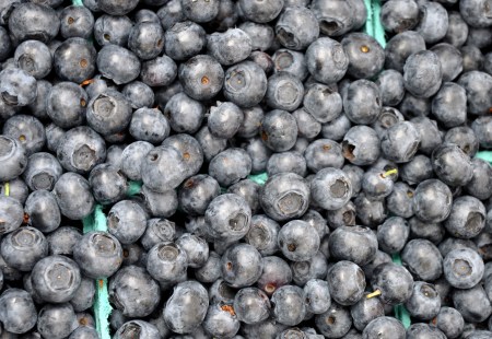  Blueberry pic from Interbay Farmer's Market